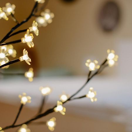 Apartman Dobre Rano Banská Štiavnica 외부 사진