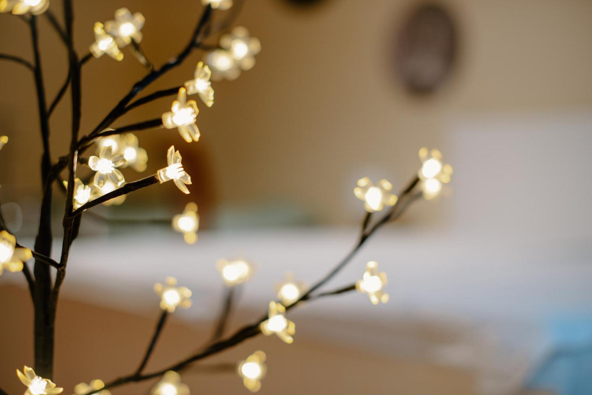 Apartman Dobre Rano Banská Štiavnica 외부 사진